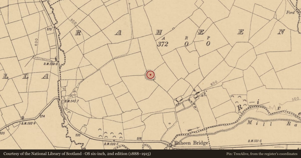 Ordnance Survey six-inch map, 2nd edition (1888–1915) covering the location of Enclosure, Raheen, County Cork, with a pin at the register's coordinates