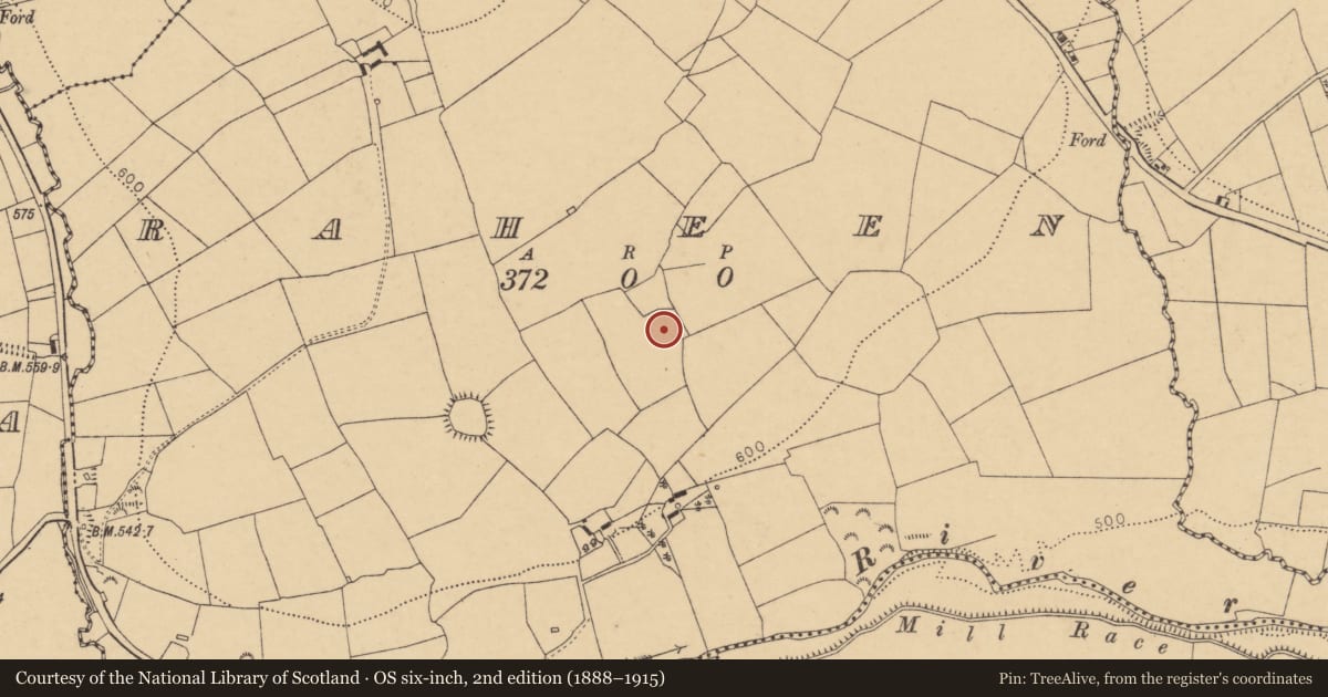 Ordnance Survey six-inch map, 2nd edition (1888–1915) covering the location of Fulacht fia, Raheen, County Cork, with a pin at the register's coordinates