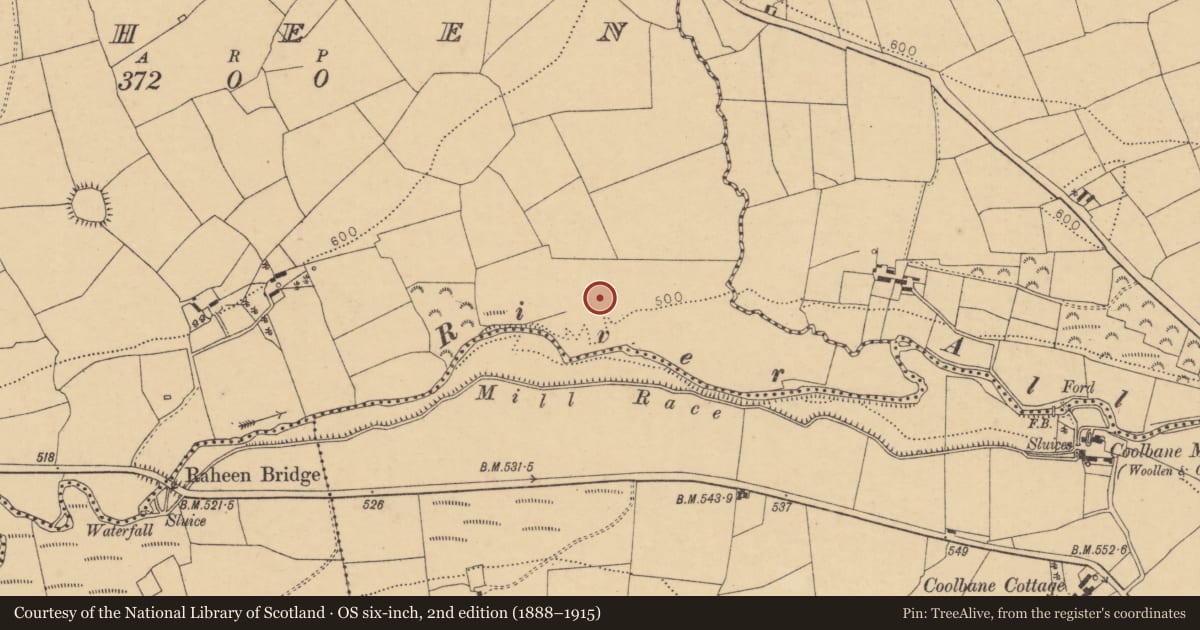 Ordnance Survey six-inch map, 2nd edition (1888–1915) covering the location of Enclosure, Raheen, County Cork, with a pin at the register's coordinates
