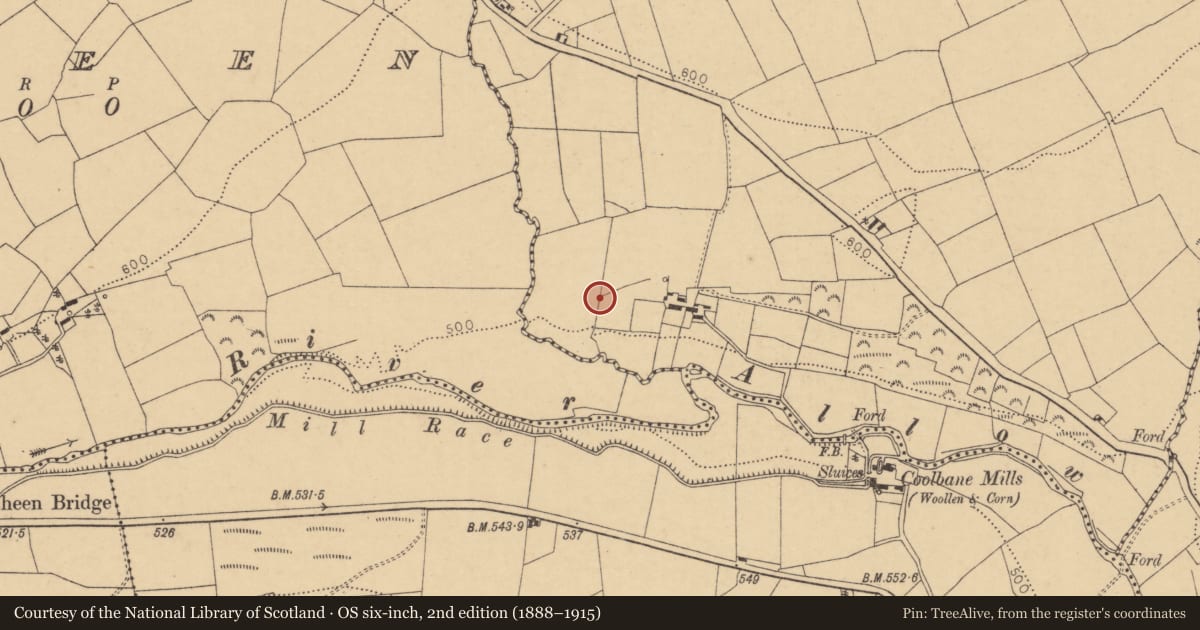 Ordnance Survey six-inch map, 2nd edition (1888–1915) covering the location of Fulacht fia, Ballagh, County Cork, with a pin at the register's coordinates
