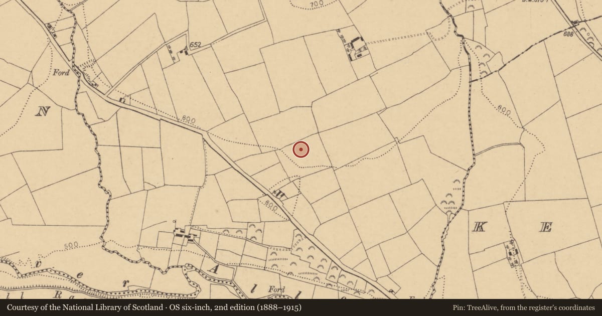 Ordnance Survey six-inch map, 2nd edition (1888–1915) covering the location of Fulacht fia, Ballagh, County Cork, with a pin at the register's coordinates