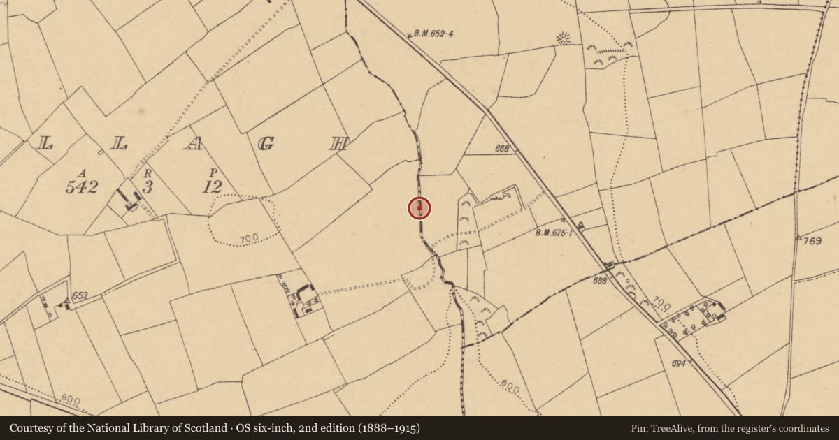 Ordnance Survey six-inch map, 2nd edition (1888–1915) covering the location of Fulacht fia, Ballagh, County Cork, with a pin at the register's coordinates