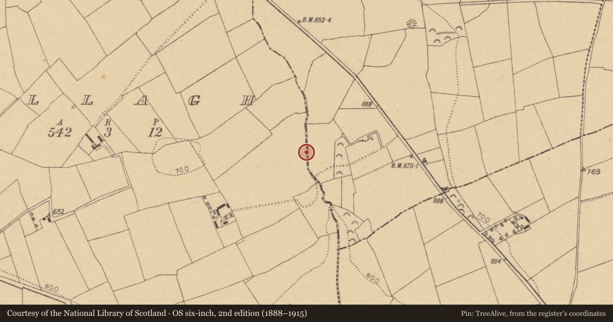 Ordnance Survey six-inch map, 2nd edition (1888–1915) covering the location of Fulacht fia, Ballagh, County Cork, with a pin at the register's coordinates