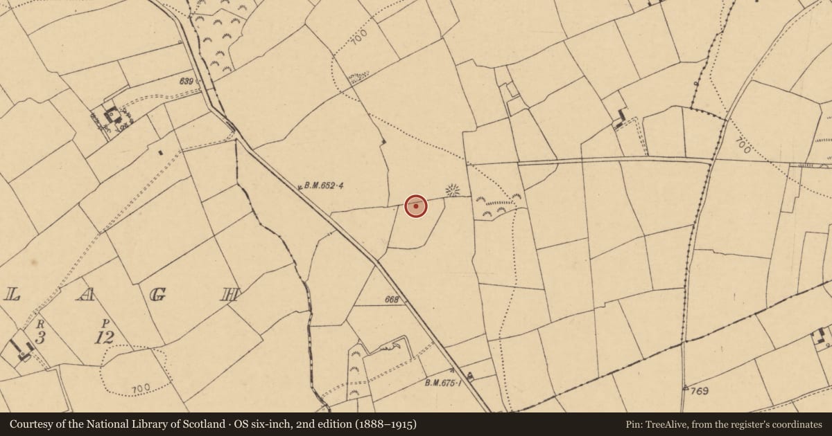 Ordnance Survey six-inch map, 2nd edition (1888–1915) covering the location of Fulacht fia, Cooles, County Cork, with a pin at the register's coordinates