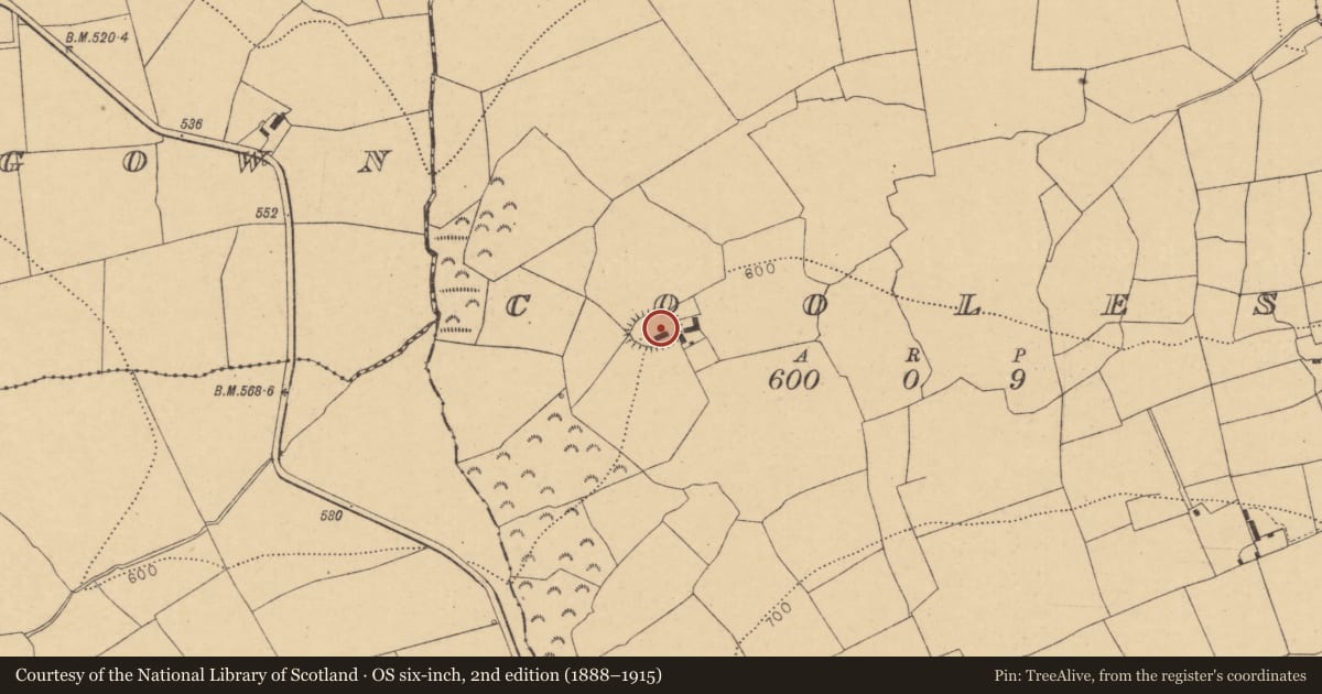 Ordnance Survey six-inch map, 2nd edition (1888–1915) covering the location of Enclosure, Cooles, County Cork, with a pin at the register's coordinates
