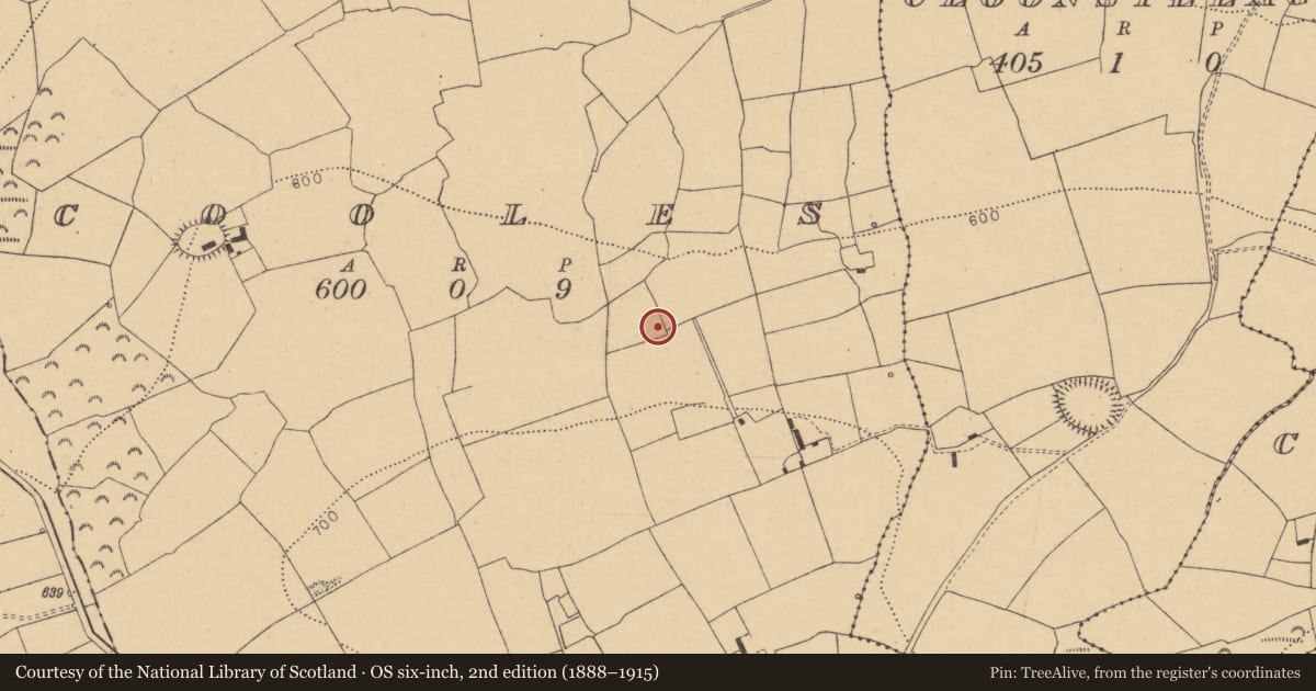 Ordnance Survey six-inch map, 2nd edition (1888–1915) covering the location of Fulacht fia, Cooles, County Cork, with a pin at the register's coordinates
