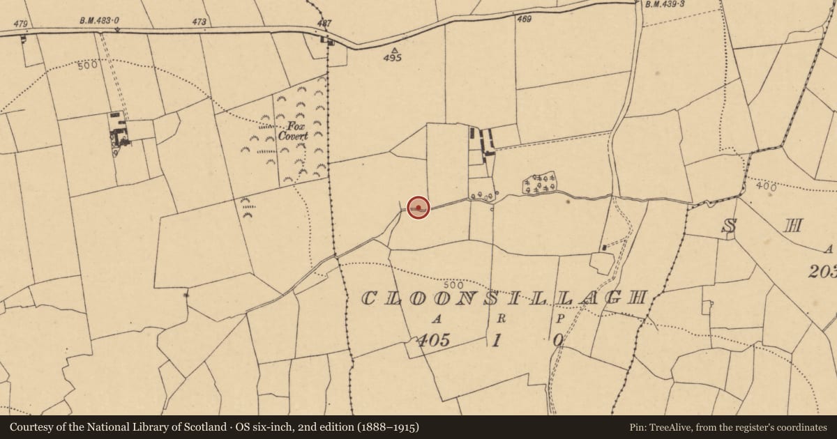 Ordnance Survey six-inch map, 2nd edition (1888–1915) covering the location of Fulacht fia, Cloonsillagh, County Cork, with a pin at the register's coordinates