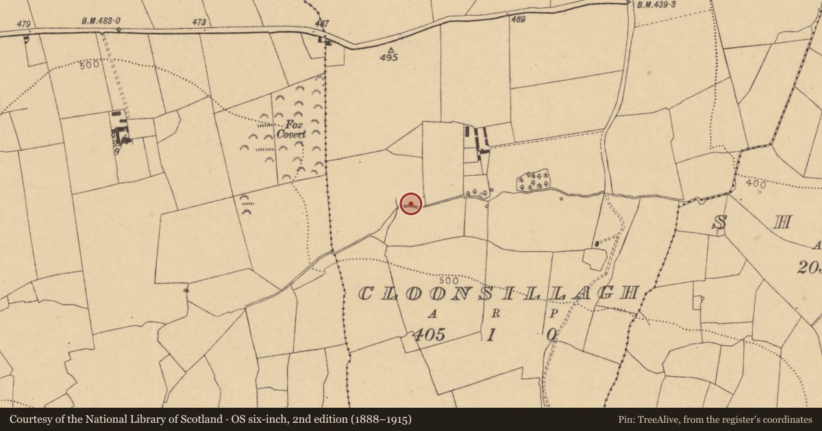 Ordnance Survey six-inch map, 2nd edition (1888–1915) covering the location of Fulacht fia, Cloonsillagh, County Cork, with a pin at the register's coordinates