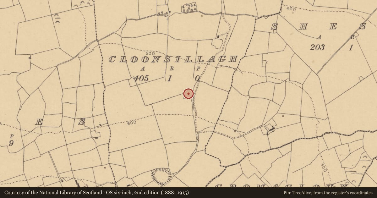 Ordnance Survey six-inch map, 2nd edition (1888–1915) covering the location of Fulacht fia, Cloonsillagh, County Cork, with a pin at the register's coordinates