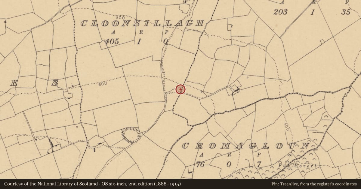 Ordnance Survey six-inch map, 2nd edition (1888–1915) covering the location of Fulacht fia, Cloonsillagh, County Cork, with a pin at the register's coordinates