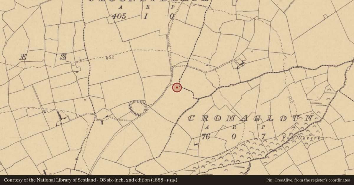 Ordnance Survey six-inch map, 2nd edition (1888–1915) covering the location of Fulacht fia, Cloonsillagh, County Cork, with a pin at the register's coordinates