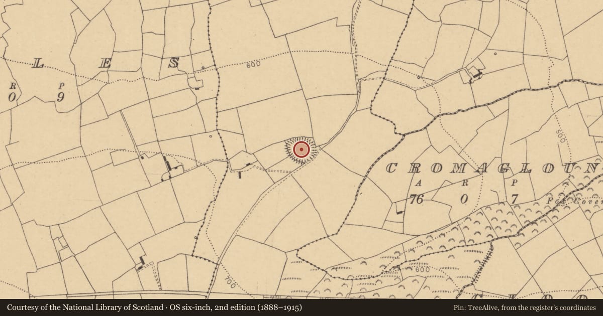 Ordnance Survey six-inch map, 2nd edition (1888–1915) covering the location of Enclosure, Cloonsillagh, County Cork, with a pin at the register's coordinates