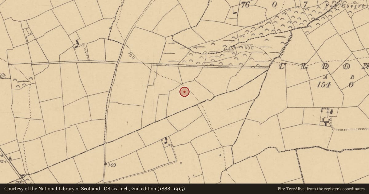 Ordnance Survey six-inch map, 2nd edition (1888–1915) covering the location of Fulacht fia, Cloonsillagh, County Cork, with a pin at the register's coordinates