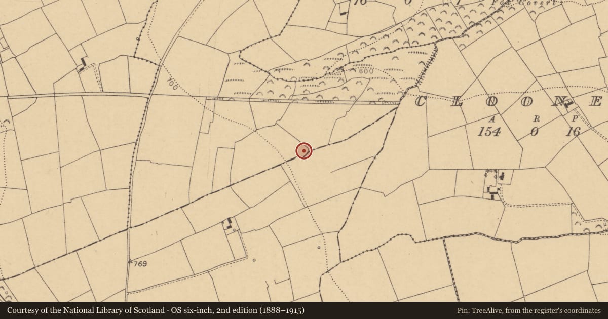 Ordnance Survey six-inch map, 2nd edition (1888–1915) covering the location of Ringfort - rath, Cloonsillagh, County Cork, with a pin at the register's coordinates