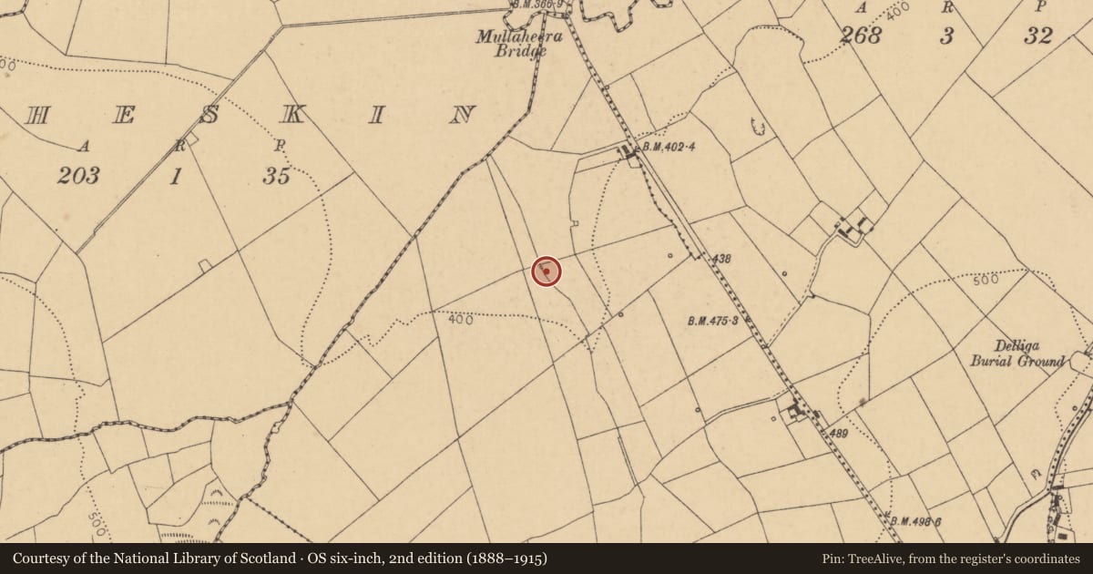 Ordnance Survey six-inch map, 2nd edition (1888–1915) covering the location of Fulacht fia, Seeds, County Cork, with a pin at the register's coordinates