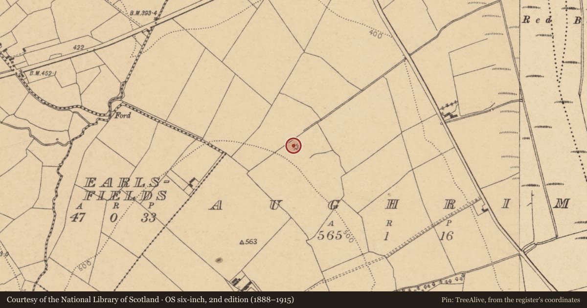 Ordnance Survey six-inch map, 2nd edition (1888–1915) covering the location of Fulacht fia, Aughrim, County Cork, with a pin at the register's coordinates