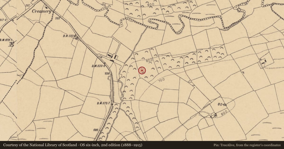 Ordnance Survey six-inch map, 2nd edition (1888–1915) covering the location of Fulacht fia, Knockskehy, County Cork, with a pin at the register's coordinates