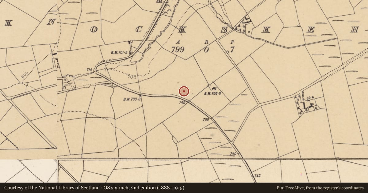 Ordnance Survey six-inch map, 2nd edition (1888–1915) covering the location of Fulacht fia, Knockskehy, County Cork, with a pin at the register's coordinates