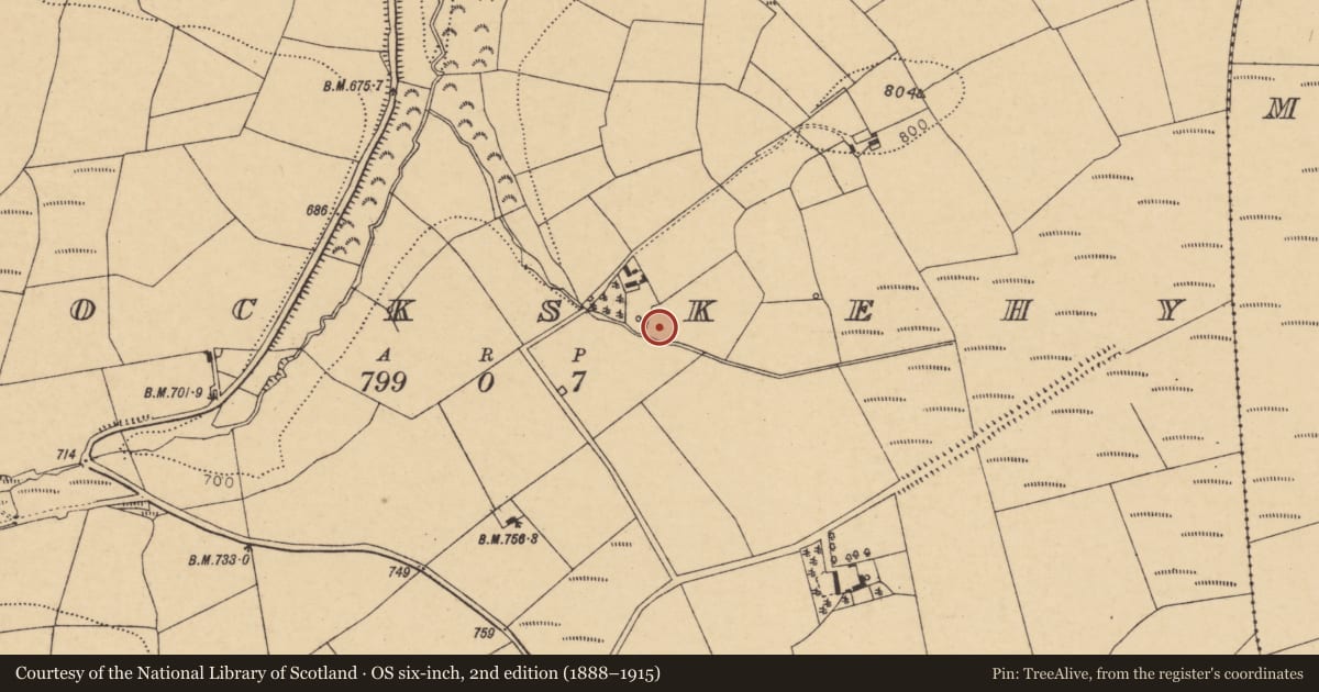 Ordnance Survey six-inch map, 2nd edition (1888–1915) covering the location of Fulacht fia, Knockskehy, County Cork, with a pin at the register's coordinates