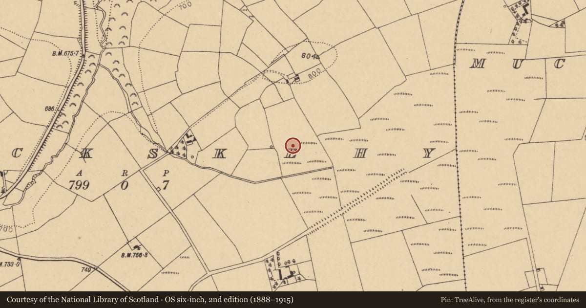 Ordnance Survey six-inch map, 2nd edition (1888–1915) covering the location of Fulacht fia, Knockskehy, County Cork, with a pin at the register's coordinates