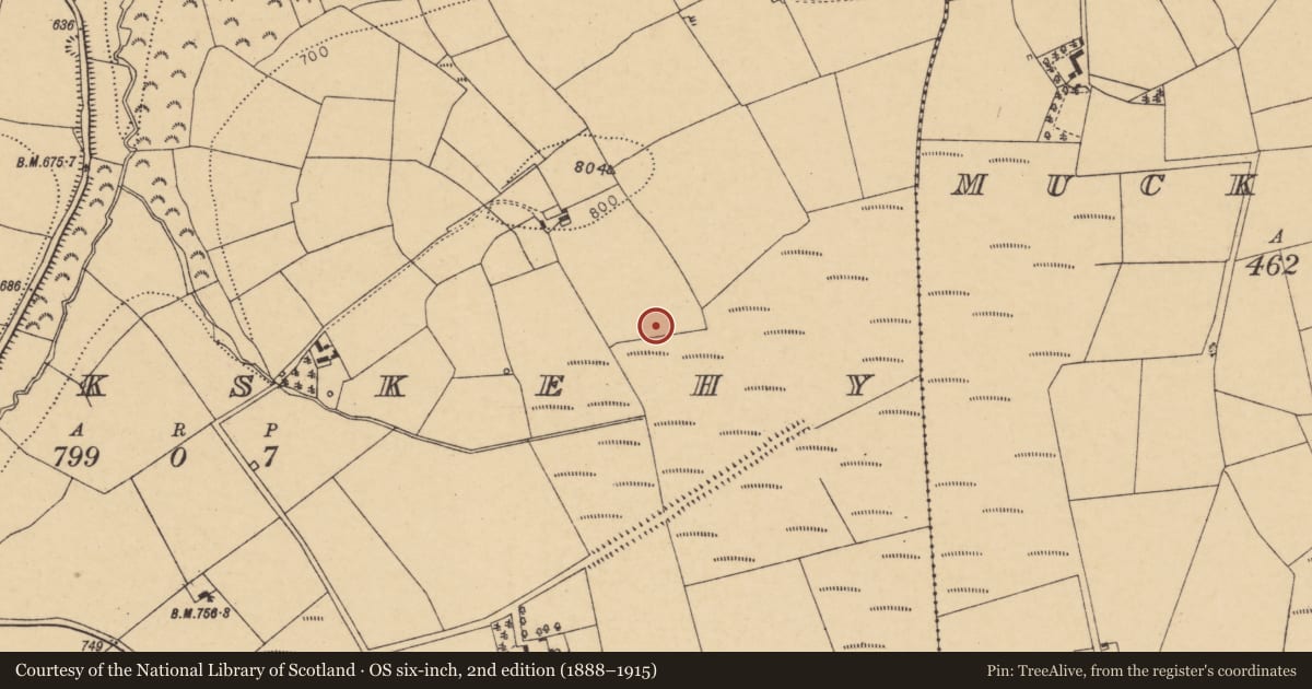 Ordnance Survey six-inch map, 2nd edition (1888–1915) covering the location of Fulacht fia, Knockskehy, County Cork, with a pin at the register's coordinates