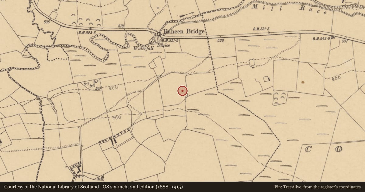 Ordnance Survey six-inch map, 2nd edition (1888–1915) covering the location of Fulacht fia, Muckenagh, County Cork, with a pin at the register's coordinates