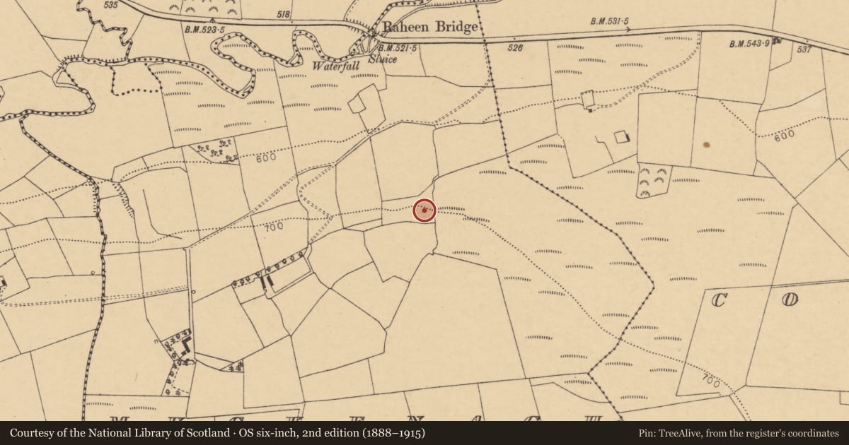 Ordnance Survey six-inch map, 2nd edition (1888–1915) covering the location of Fulacht fia, Muckenagh, County Cork, with a pin at the register's coordinates