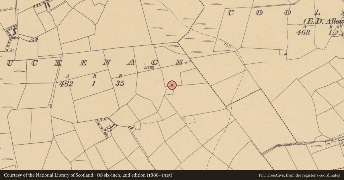 Ordnance Survey six-inch map, 2nd edition (1888–1915) covering the location of Fulacht fia, Muckenagh, County Cork, with a pin at the register's coordinates