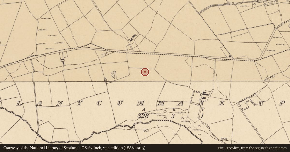 Ordnance Survey six-inch map, 2nd edition (1888–1915) covering the location of Fulacht fia, Glanycummane Upper, County Cork, with a pin at the register's coordinates