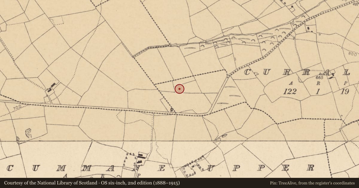 Ordnance Survey six-inch map, 2nd edition (1888–1915) covering the location of Fulacht fia, Curraleagh, County Cork, with a pin at the register's coordinates