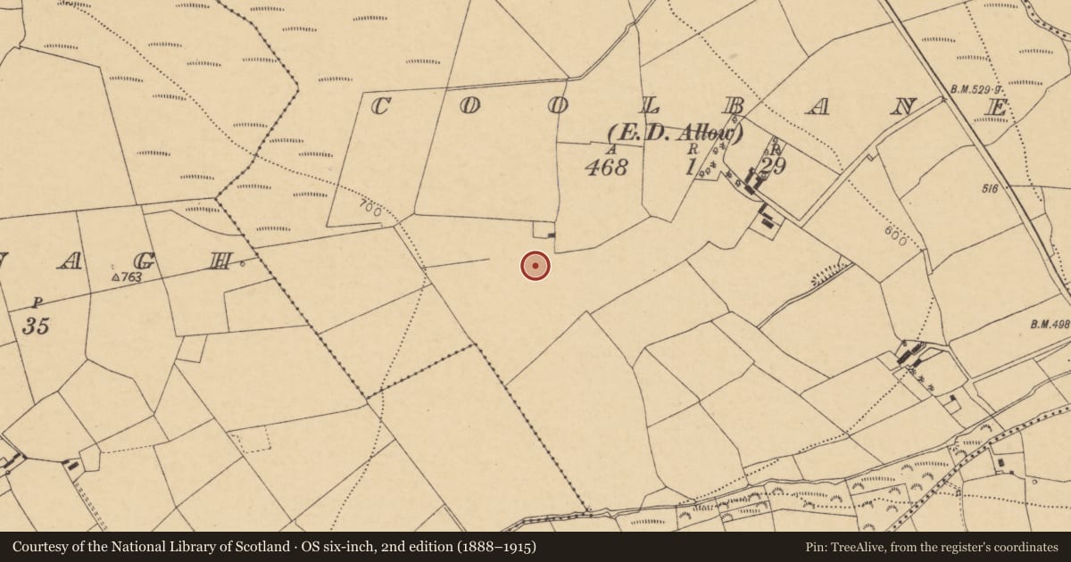 Ordnance Survey six-inch map, 2nd edition (1888–1915) covering the location of Fulacht fia, Coolbane (Duhallow By., Tullylease Par.), County Cork, with a pin at the register's coordinates