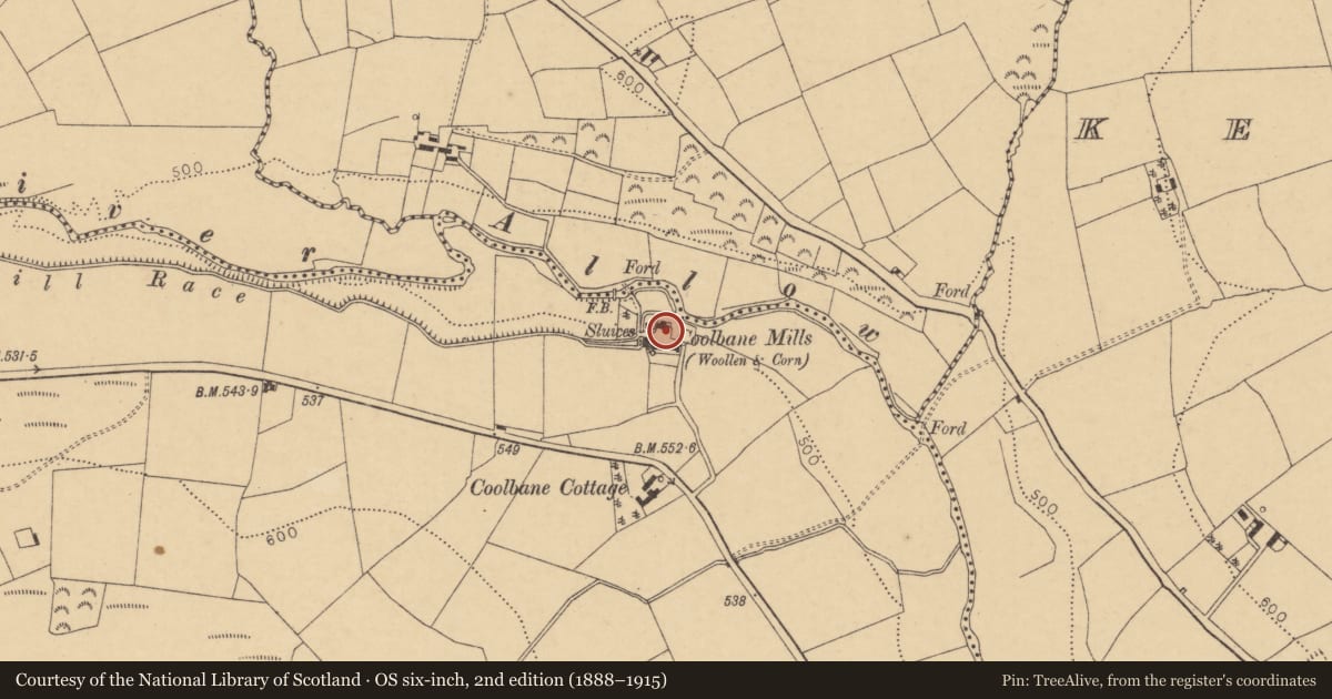 Ordnance Survey six-inch map, 2nd edition (1888–1915) covering the location of Milling complex, Coolbane (Duhallow By., Tullylease Par.), County Cork, with a pin at the register's coordinates
