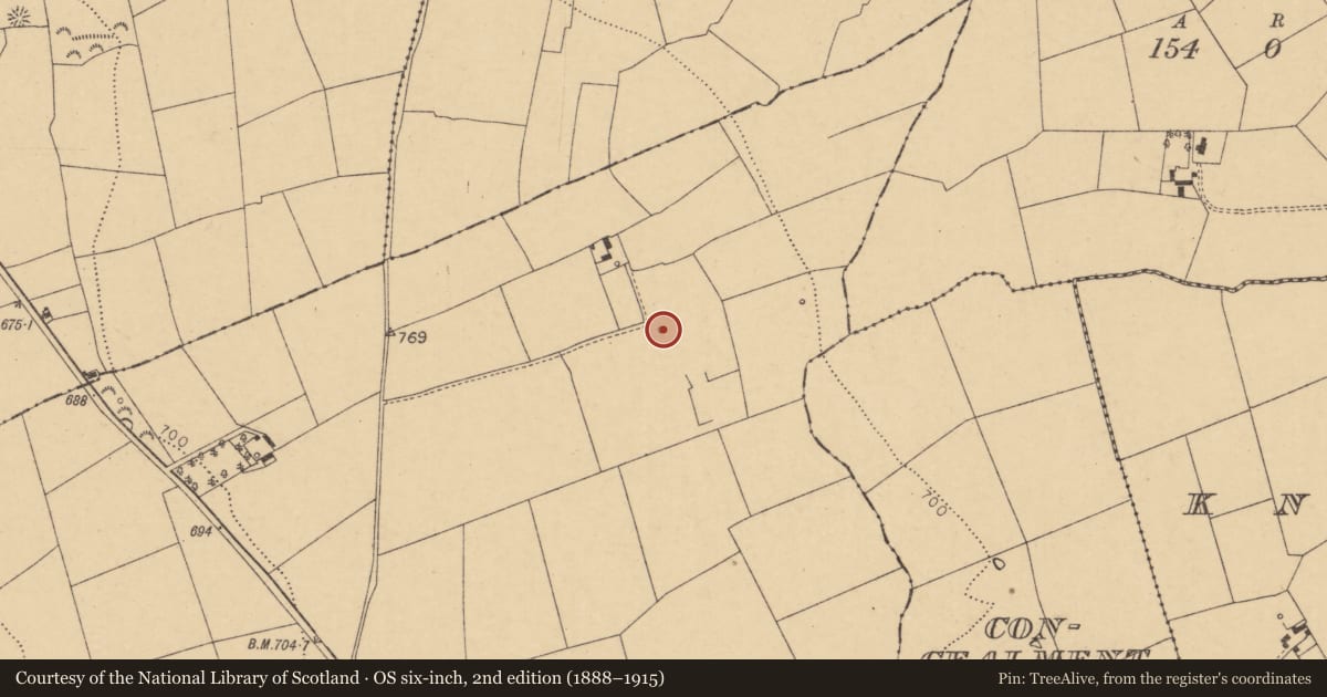 Ordnance Survey six-inch map, 2nd edition (1888–1915) covering the location of Kiln - lime, Keeltane, County Cork, with a pin at the register's coordinates