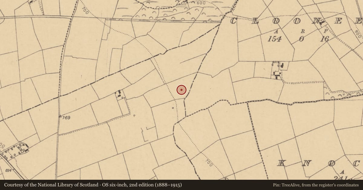 Ordnance Survey six-inch map, 2nd edition (1888–1915) covering the location of Fulacht fia, Keeltane, County Cork, with a pin at the register's coordinates