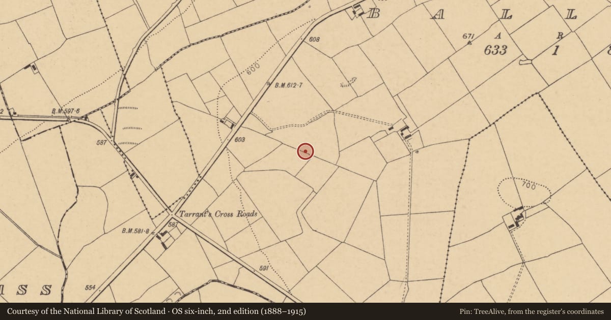 Ordnance Survey six-inch map, 2nd edition (1888–1915) covering the location of Fulacht fia, Ballinla, County Cork, with a pin at the register's coordinates