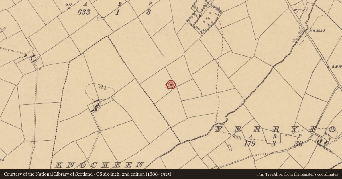 Ordnance Survey six-inch map, 2nd edition (1888–1915) covering the location of Ringfort - rath, Ballinla, County Cork, with a pin at the register's coordinates