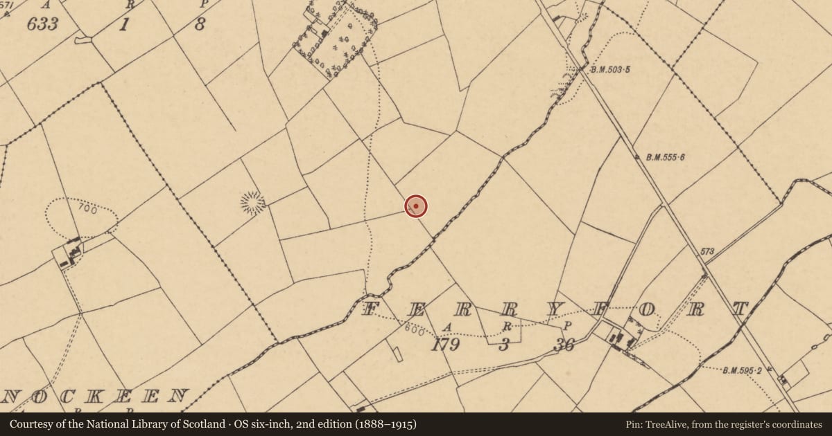 Ordnance Survey six-inch map, 2nd edition (1888–1915) covering the location of Mound, Ballinla, County Cork, with a pin at the register's coordinates
