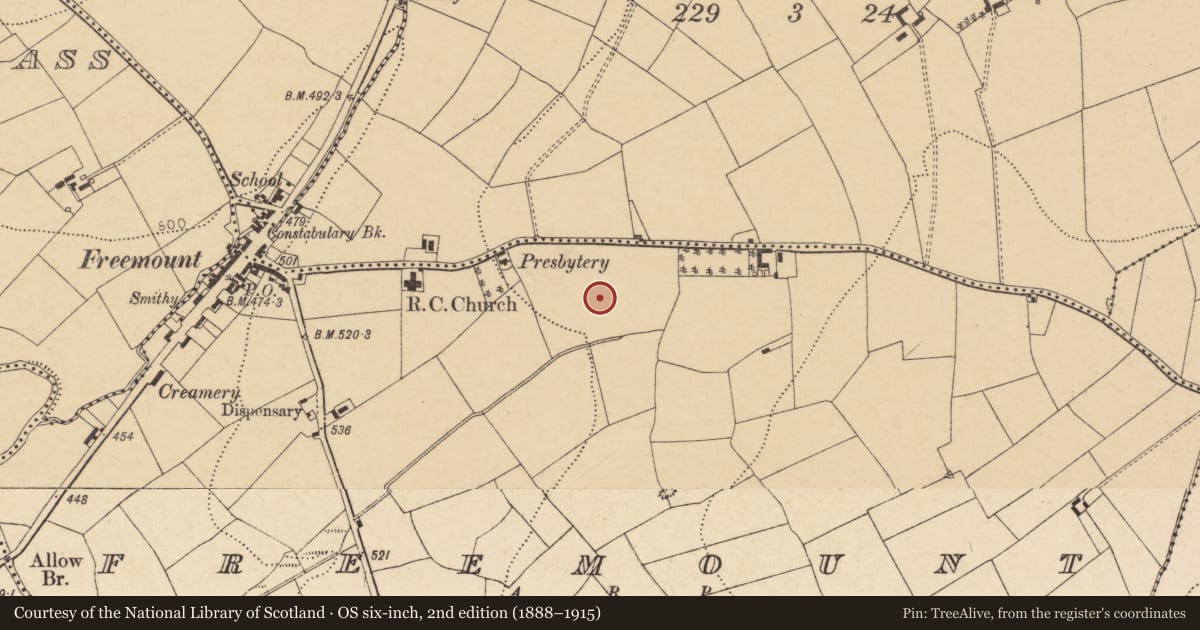 Ordnance Survey six-inch map, 2nd edition (1888–1915) covering the location of Fulacht fia, Freemount, County Cork, with a pin at the register's coordinates