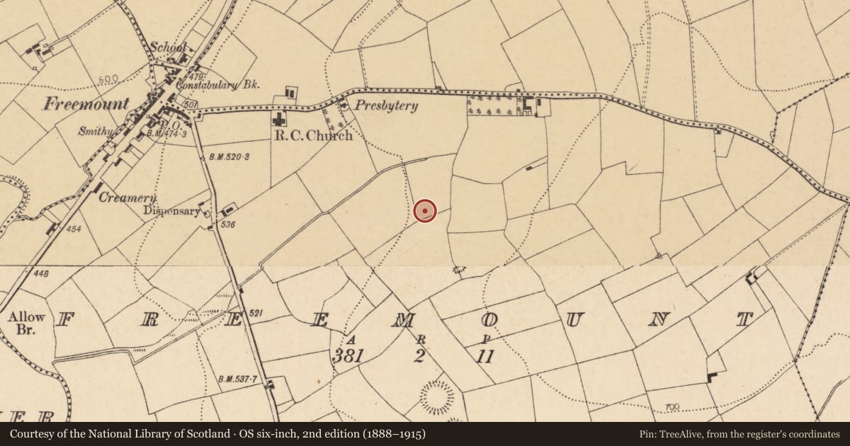 Ordnance Survey six-inch map, 2nd edition (1888–1915) covering the location of Fulacht fia, Freemount, County Cork, with a pin at the register's coordinates