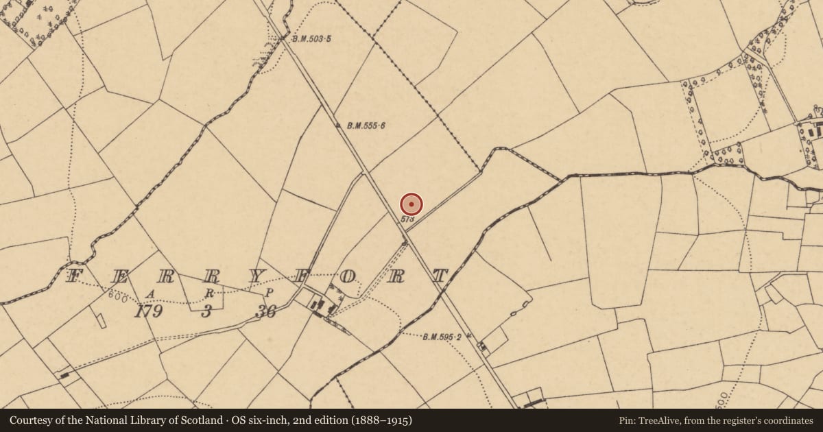 Ordnance Survey six-inch map, 2nd edition (1888–1915) covering the location of Fulacht fia, Ferryfort, County Cork, with a pin at the register's coordinates