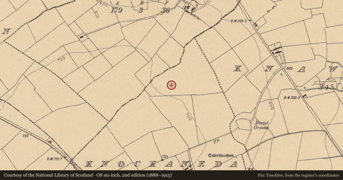 Ordnance Survey six-inch map, 2nd edition (1888–1915) covering the location of Fulacht fia, Knockaneda, County Cork, with a pin at the register's coordinates
