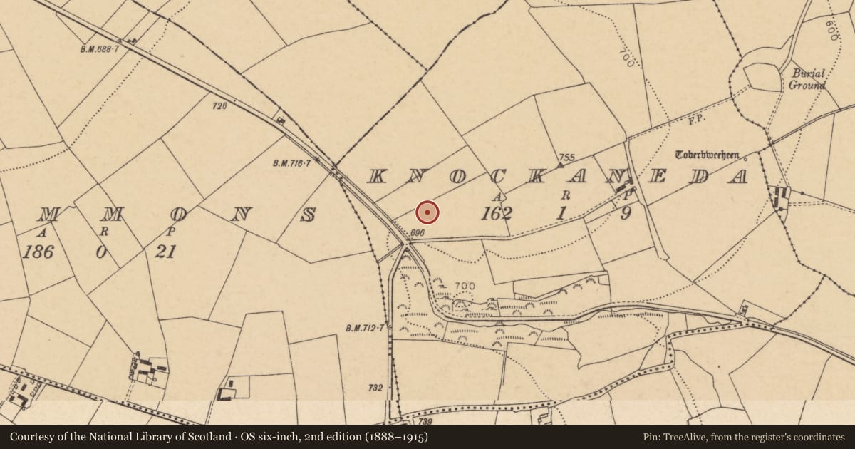Ordnance Survey six-inch map, 2nd edition (1888–1915) covering the location of Fulacht fia, Knockaneda, County Cork, with a pin at the register's coordinates