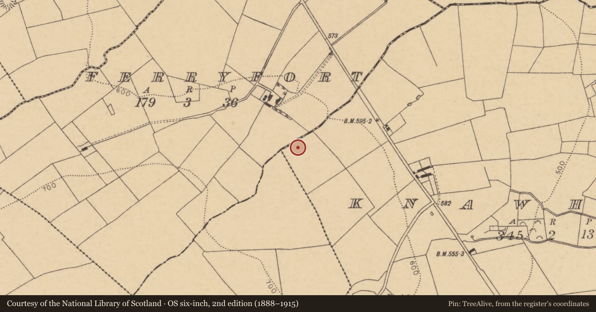 Ordnance Survey six-inch map, 2nd edition (1888–1915) covering the location of Fulacht fia, Knawhill, County Cork, with a pin at the register's coordinates