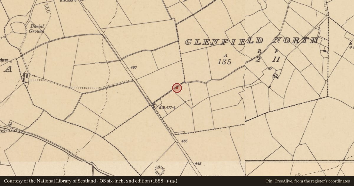 Ordnance Survey six-inch map, 2nd edition (1888–1915) covering the location of Fulacht fia, Glenfield North, County Cork, with a pin at the register's coordinates
