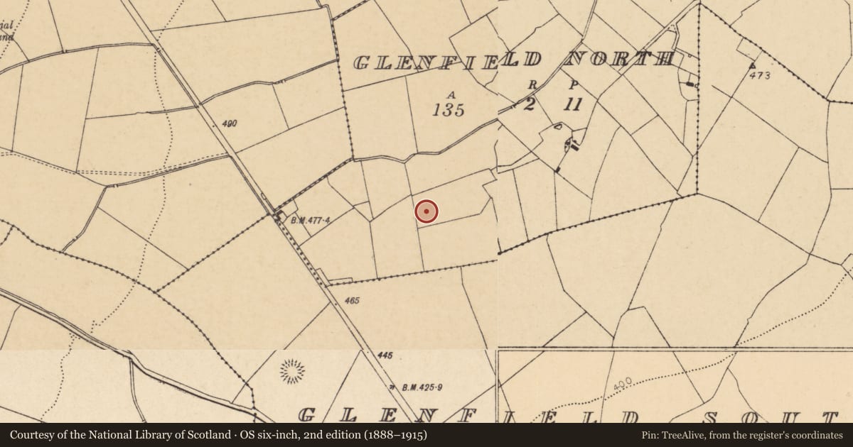 Ordnance Survey six-inch map, 2nd edition (1888–1915) covering the location of Mound, Glenfield North, County Cork, with a pin at the register's coordinates