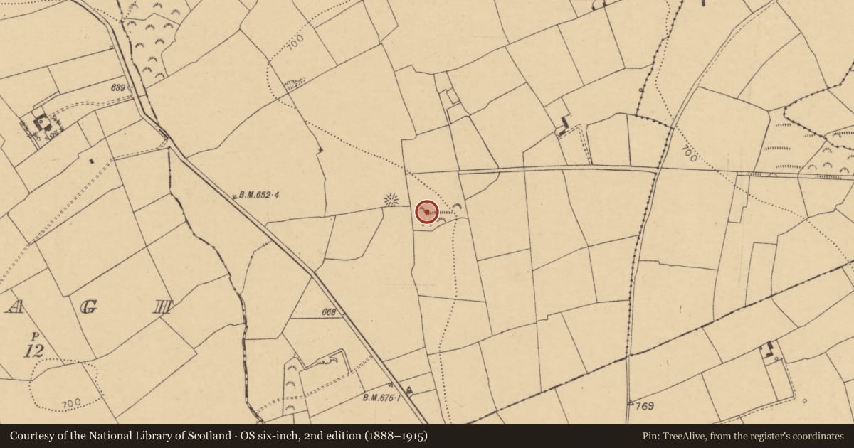 Ordnance Survey six-inch map, 2nd edition (1888–1915) covering the location of Fulacht fia, Cooles, County Cork, with a pin at the register's coordinates