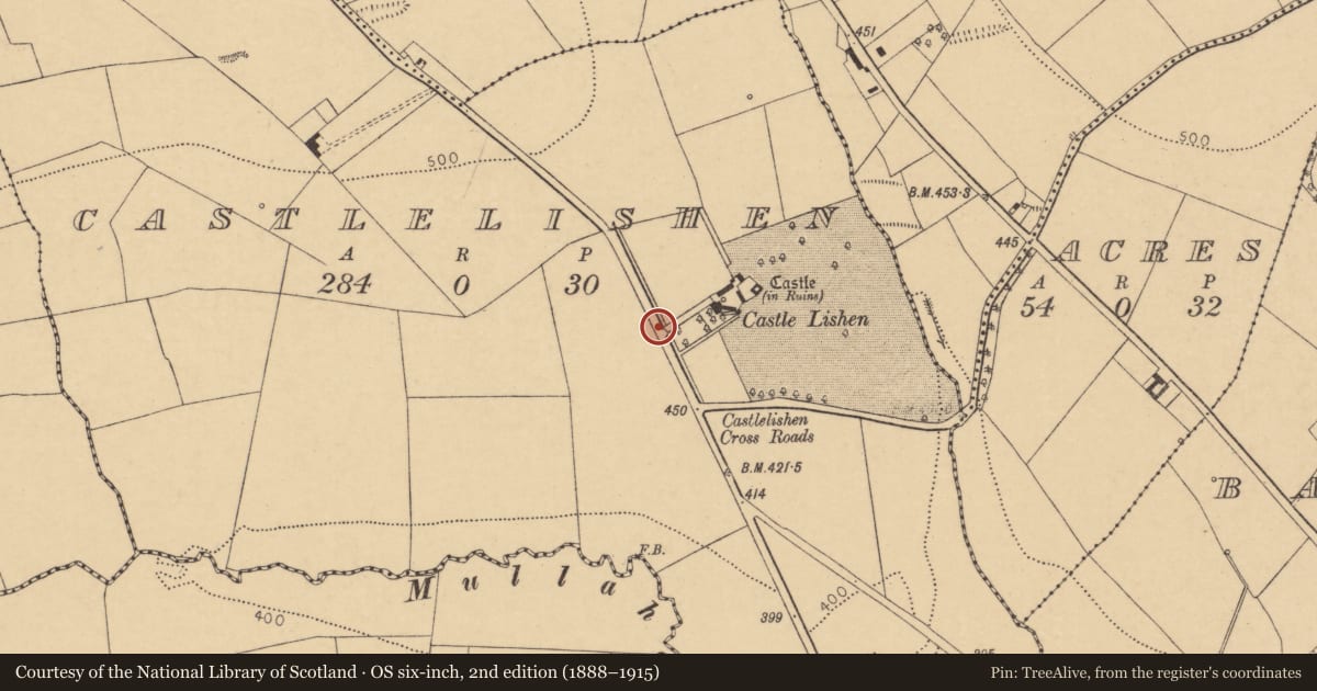 Ordnance Survey six-inch map, 2nd edition (1888–1915) covering the location of Armorial plaque (present location), County Cork, with a pin at the register's coordinates