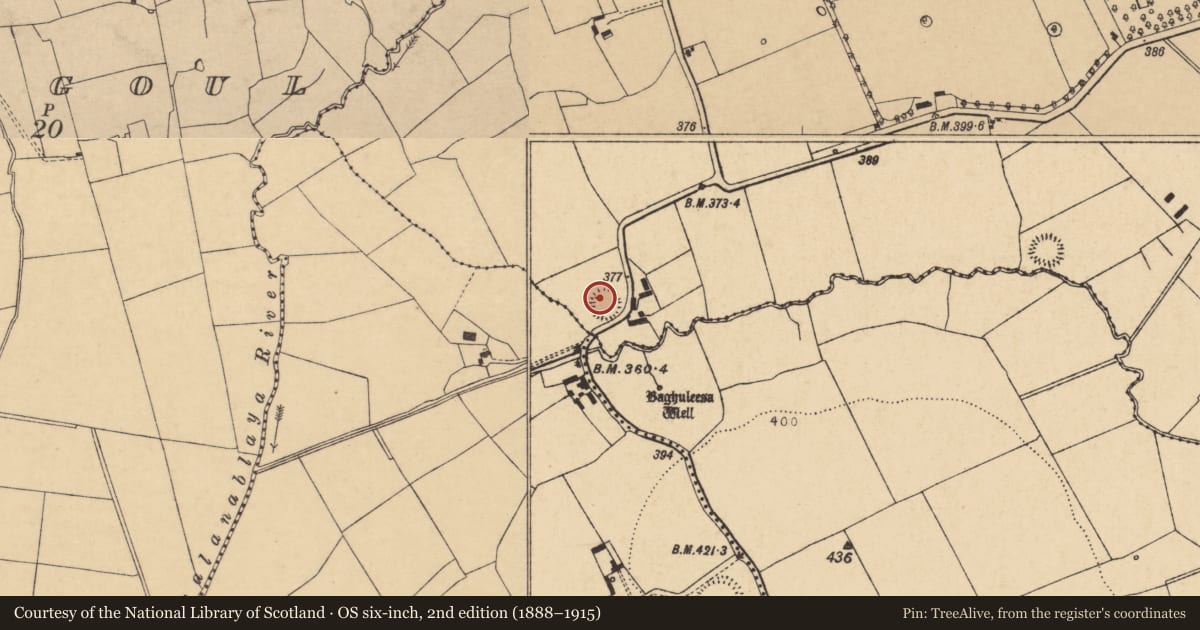 Ordnance Survey six-inch map, 2nd edition (1888–1915) covering the location of Ringfort - rath, Curryglass, County Cork, with a pin at the register's coordinates