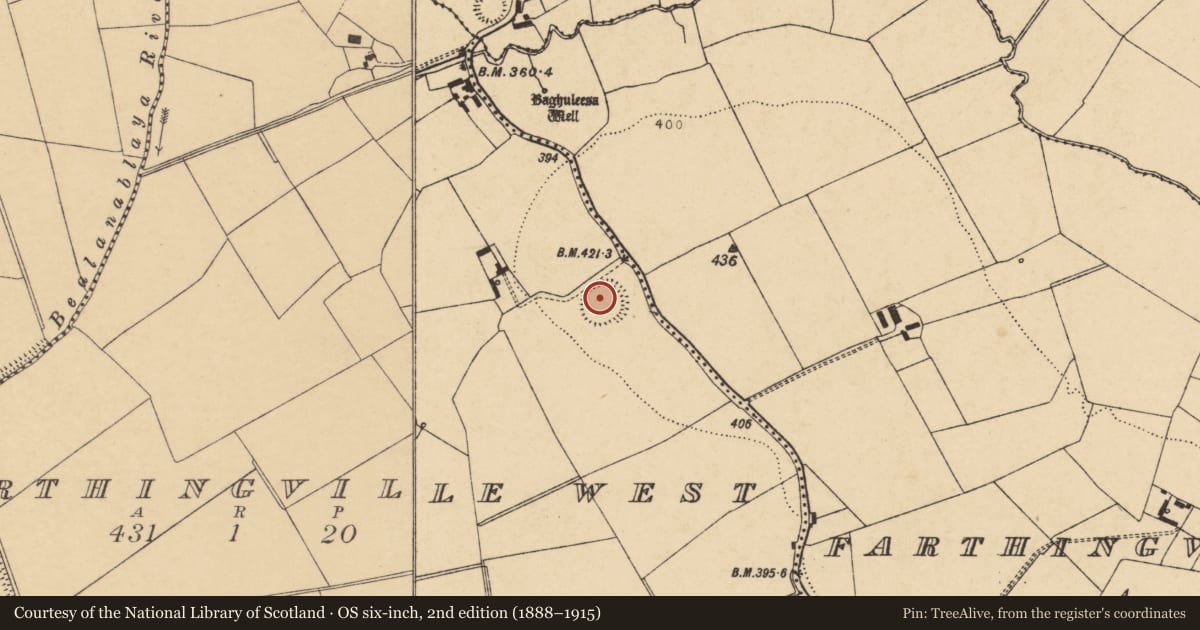Ordnance Survey six-inch map, 2nd edition (1888–1915) covering the location of Ringfort - rath, Farthingville West, County Cork, with a pin at the register's coordinates