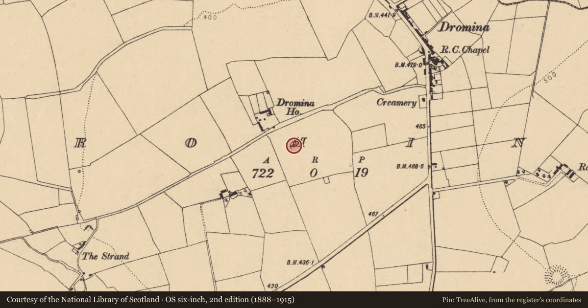 Ordnance Survey six-inch map, 2nd edition (1888–1915) covering the location of Ringfort - rath, Dromina, County Cork, with a pin at the register's coordinates